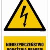 ZNAK - HA031 Niebezpieczeństwo porażenia prądem 7,5 x 10 cm FN - Folia samoprzylepna