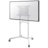 Neomounts NS-M1250WHITE Mobile TV Floor Stand for 37-70" Screens 70kg White