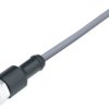 Sensor actuator cable, M12-cable socket, straight to open end, 5 pole, 2 m, PVC, gray, 4 A, 77 4430 0000 20005-0200