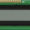 DEM 16101 TGH LCD module, 1x16, H:6.0mm, bw/gr