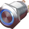 Vandal-proof pushbutton, 1 pole, silver, illuminated  (blue), 5 A/250 V, mounting Ø 19 mm, IP65, PAV19BMFW2G6N