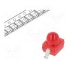 5595-21USRD/S357