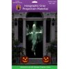 (36" x 80") Gray Door Holographic Rear Projection Screen with Mounting