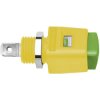 Schützinger ESD 498/GNGE Spring-loaded Terminal Green-yellow 16A 1pc