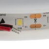 Taśma świetlna LED Biały 12V dc W/m: 60 PowerLED