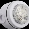 SOLXBFCLWD Solista Maxi, white, blue flash, clear lens, DB