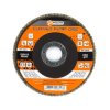 Tarcza listkowa, 125*22mm, ziarno K80 (54-004)