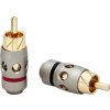 Wtyk RCA na kabel CH31 professional śr.5mm