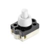 interBär 3076-001.01 Pushbutton Switch 250V AC 2A Off/On Latch