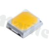 LEDP2-2835-W80D120-5S-11-H