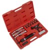 Sealey PS981 Hydraulic Puller Set 19pc