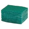 Andarta 34-029 9"x6" Scourers - Pack Of 10