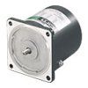 Silnik AC 6 W Oriental Motor 220 / 230 V 1, 3 -fazowy, indukcyjny