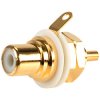 REAN NYS367-9 Gold Plated Phono Socket White