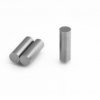 30x10 mm Cylindrical AlNiCo5 LNG37 Magnet