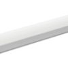 Lampa podświetlająca LED Megatron Pinolight CTT MT77222 LED 4 W biały