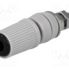 BS-244DSM-B