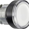 Element czołowy dla przycisku podświetlanego Schneider Electric ZB4BW317 (Ø) 22 mm nieoznakowany 1 szt.