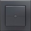 161869A0 Wandtaster, 2-fach, anthrazit
