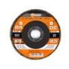 Tarcza Listkowa, 125*22Mm, Ziarno K40 (54-002)