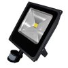 Naśw.Led + Cz.r. 50W 760 czarny DAISY NAŚWIETLACZ LED DAISY PIR MCOB 50W /z czujnikiem ruchu/