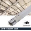 Świetlówka Led T8 G13 90Cm 15W 4000K 1500Lm Pc Prescot Flicker Free