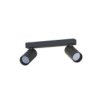 Listwa Z Regulowanymi Reflektorkami Fourty Ii 2Xgu10 R35 Czarny 10737...