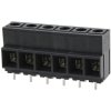 DEGSON DG135T-10.16-02P-13-00AH Screw Terminal 13mm² 2-Pin Black