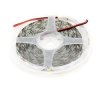 Taśma LED biała ciepła 5050 5m (60 LED/m)