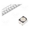 55RF-P2RA30BS-B51-WE