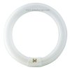 G10q 40W/865 T8 Fi.406 Philips 0575 TL-E