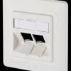 1309151002-E Modul wall outlet UP 2 port unequipped pure white