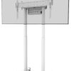 Neomounts FL55-875WH1 Stojak na kółkach do telewizora 139,7 cm (55