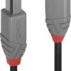 LINDY Kabel USB USB 2.0 Złącze męskie USB-A, Złącze męskie USB-B 2.00 m czarny 36673