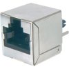 Assmann WSW AMJ-188-10101-CAT6 8 Pin RJ45 Socket Silver