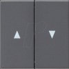 029428 Rocker switch, two-way + arrow, anthracite