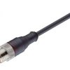 RST 4-225/5 M sw, PUR 4x0,34mm2, czarny, z wtykiem (złączem męskim) M12x1 prostym, LUMBERG 11810, zamiennik do: ELST-KV 4412 PUR