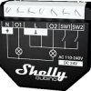 Shelly Wave 2PM