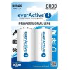 Akumulatory Ni-MH R20 / D 1,2 V 10000 mAh, ready to use, 2 szt., Professional Line, everActive EVHRL20-10000