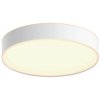 Philips 4115931P6 Hue LED Ceiling Light Warm to Cool White App Controlled