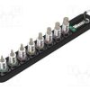 WERA.BELT/A2