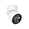 Reflektorek ruchomy natynkowy Brema biały wyposazona w LED CCT LP-2626/1RM WH movable Light Prestige