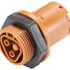 Przyłącze urządzenia Wieland Electric 96.021.1051.4