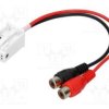 AUX-BMW.05-RCA