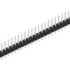 Pin header, 31 pole, pitch 2.54 mm, straight, black, 10048240