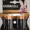 Bateria alkaliczna LR20 / D Basic DURACELL MN1300 /2szt./