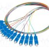 FP-SCUPSE21-1202MC
