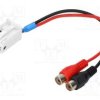 AUX-BMW.04-RCA