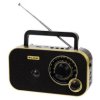 Radio analogowe przenośne Blow 77-542