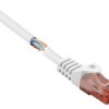 kabel LAN Renkforce RF-5043890, 1 szt., RJ45, CAT 6, U/UTP, 0.25 m, biały